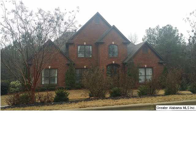 180 Middle Ridge Trail Springville, AL 35146 - Photo 2 of 26