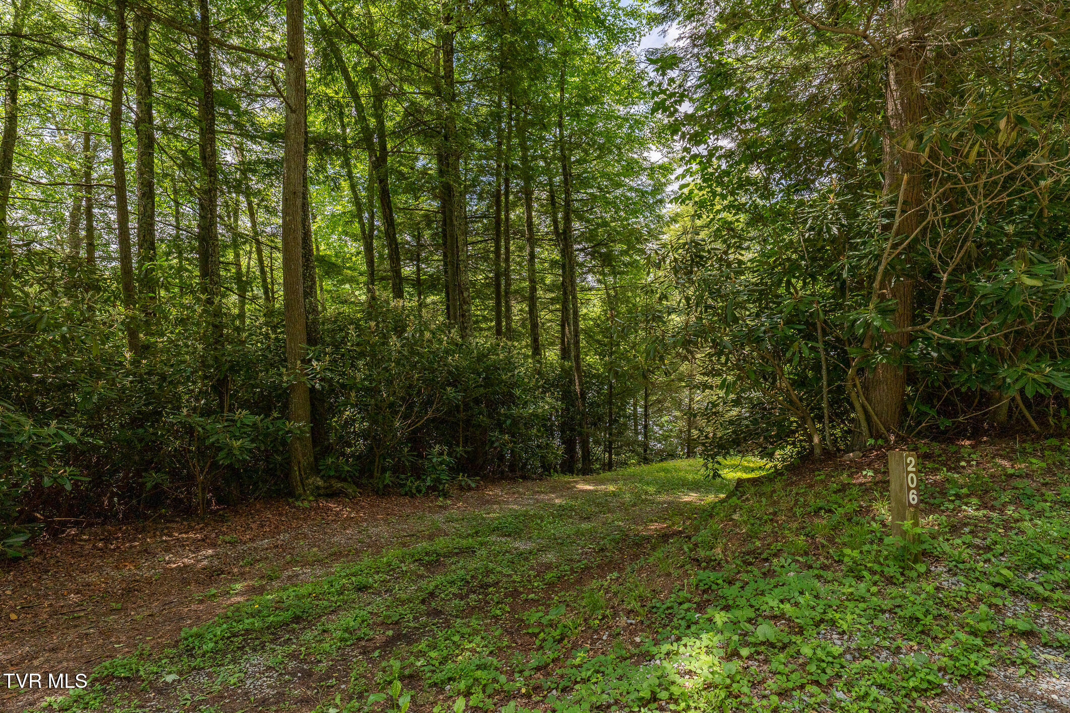 206 Ripshin Lake Road Roan Mountain, TN 37687 - Photo 63 of 76 206 Ripshin Lake Road (29 of 101)