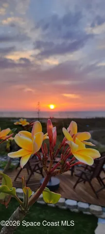 a view of a swimming pool with lawn chairs