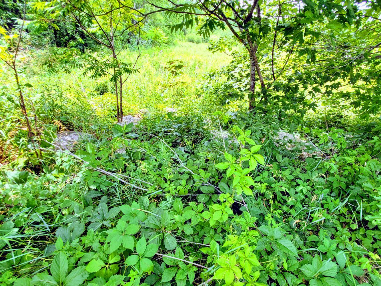 26 River Road Detroit, ME 04929 - Photo 6 of 8 20210711_131656
