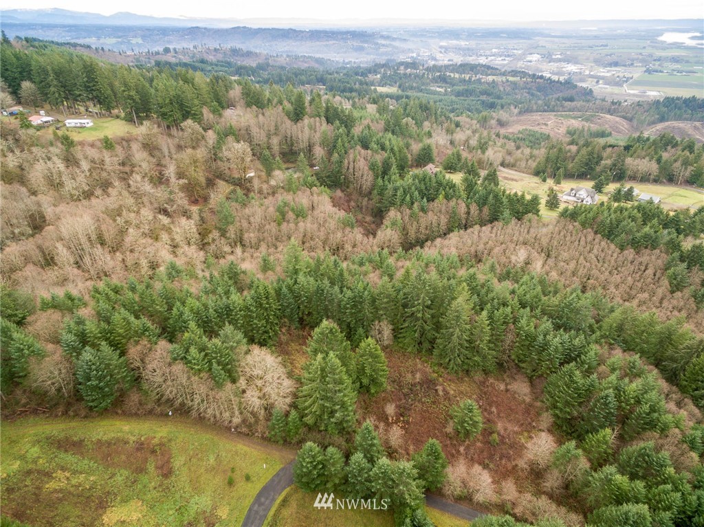 114 Morrison Heights Road Woodland, WA 98674 - Photo 1 of 16 Gallery Image 1