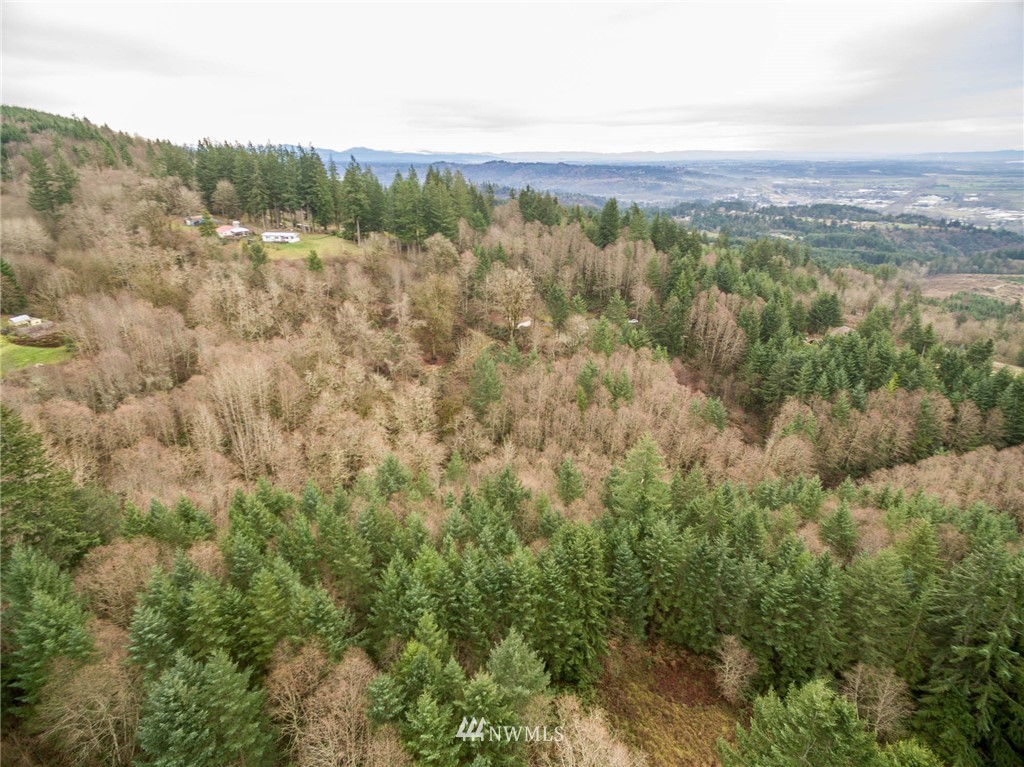 114 Morrison Heights Road Woodland, WA 98674 - Photo 14 of 16 Gallery Image 14