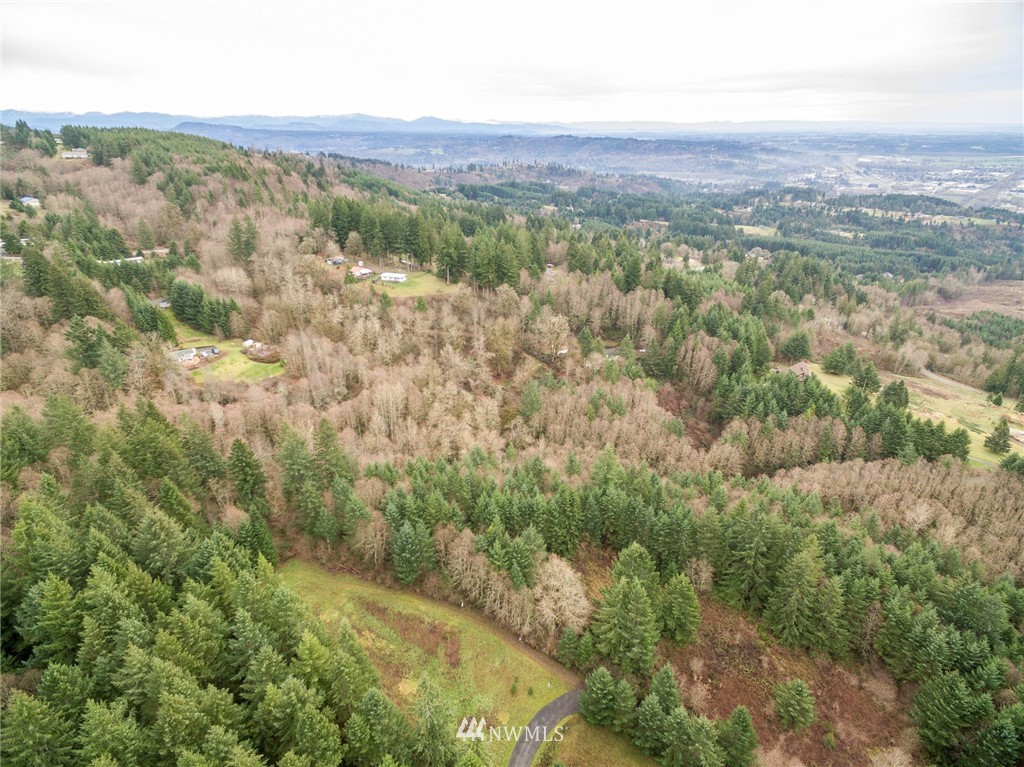 114 Morrison Heights Road Woodland, WA 98674 - Photo 3 of 16 Gallery Image 3