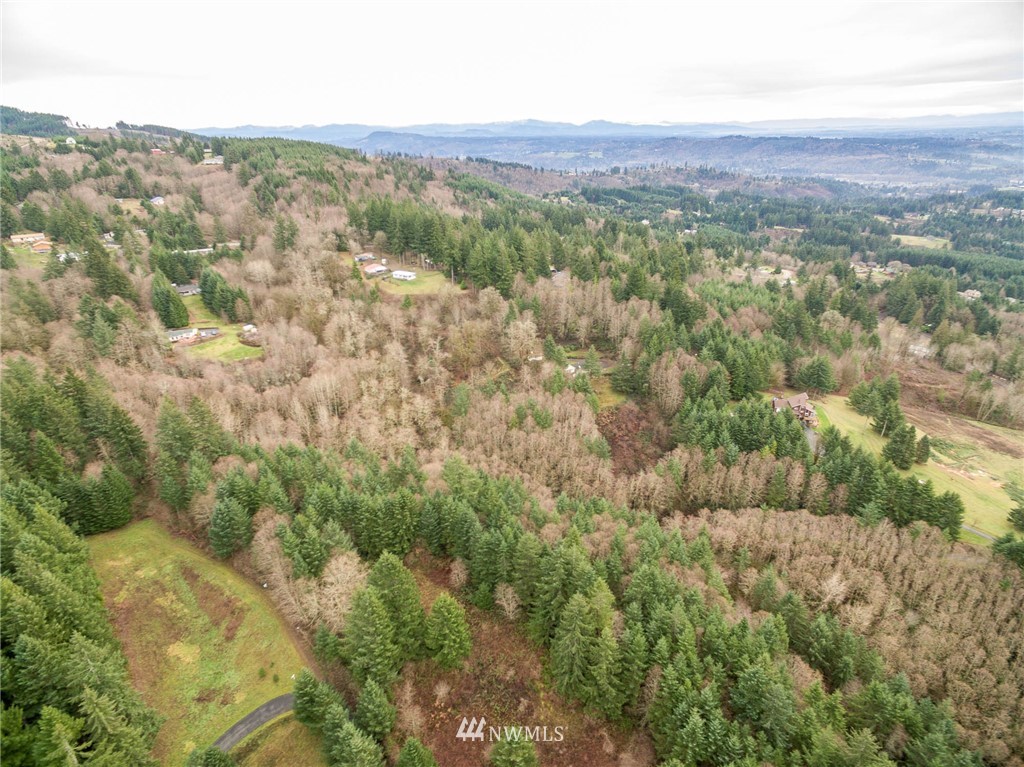 114 Morrison Heights Road Woodland, WA 98674 - Photo 4 of 16 Gallery Image 4