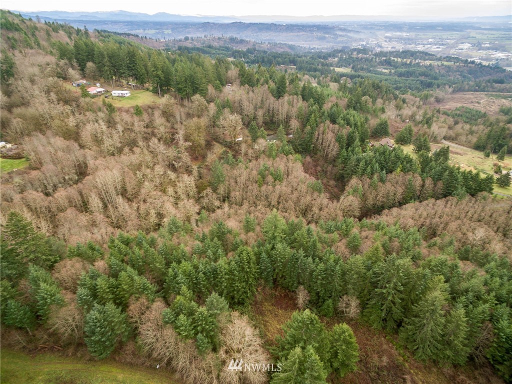 114 Morrison Heights Road Woodland, WA 98674 - Photo 5 of 16 Gallery Image 5