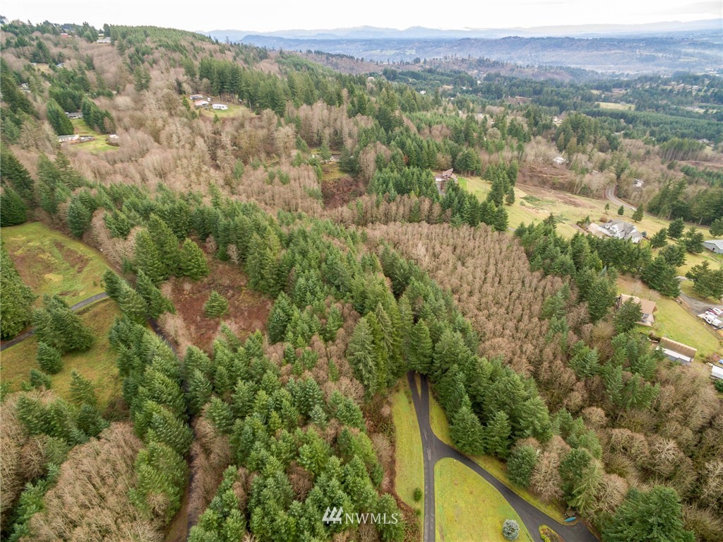 114 Morrison Heights Road Woodland, WA 98674 - Photo 6 of 16 Gallery Image 6
