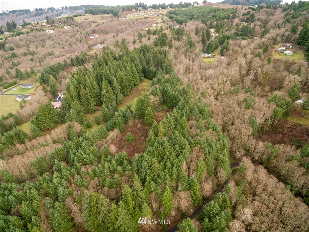114 Morrison Heights Road Woodland, WA 98674 - Photo 7 of 16 Gallery Image 7