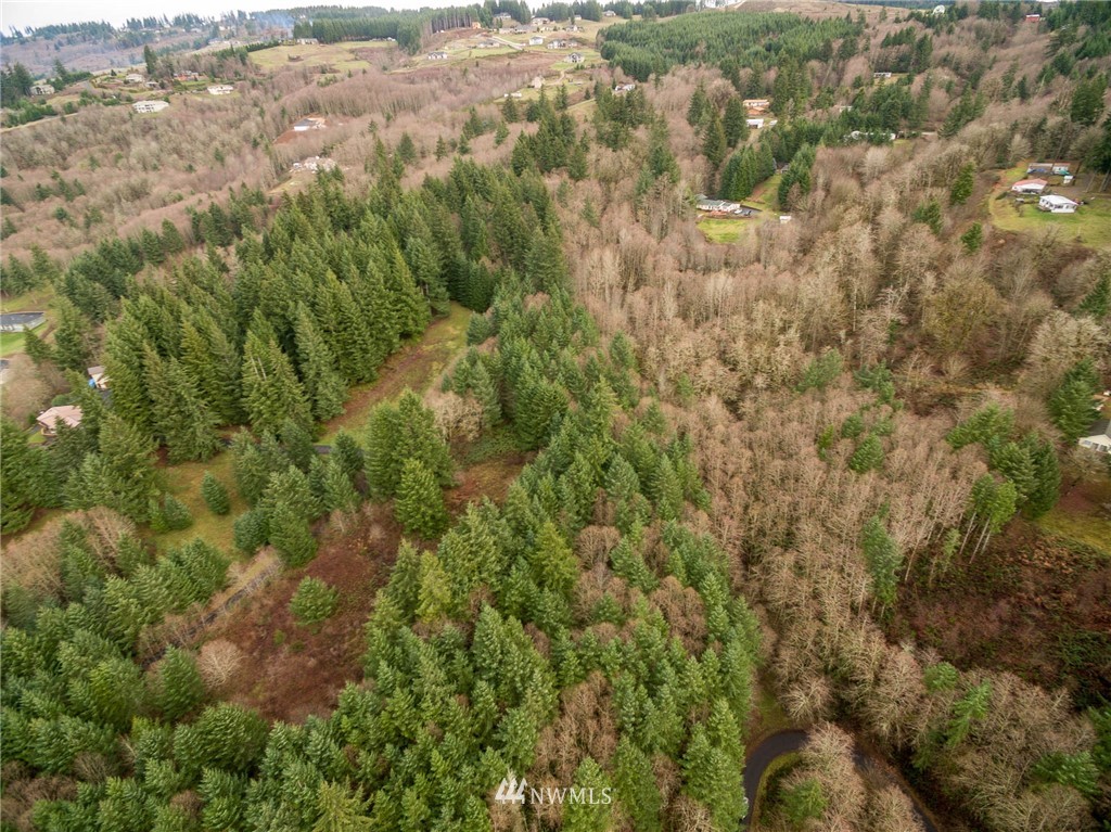 114 Morrison Heights Road Woodland, WA 98674 - Photo 8 of 16 Gallery Image 8