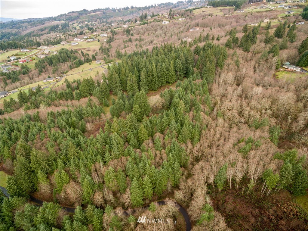 114 Morrison Heights Road Woodland, WA 98674 - Photo 9 of 16 Gallery Image 9