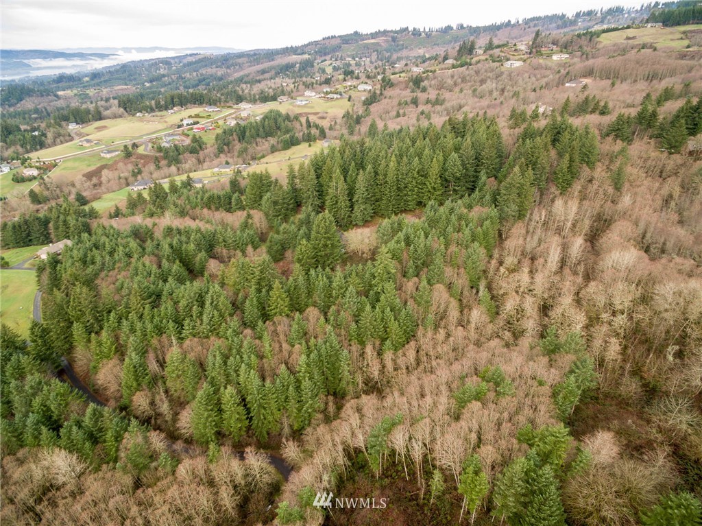 114 Morrison Heights Road Woodland, WA 98674 - Photo 10 of 16 Gallery Image 10