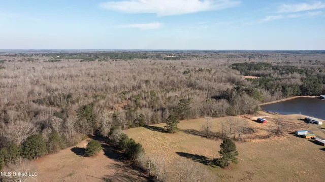 $300,000 | 12233 Highway 35, Forest, MS 39074