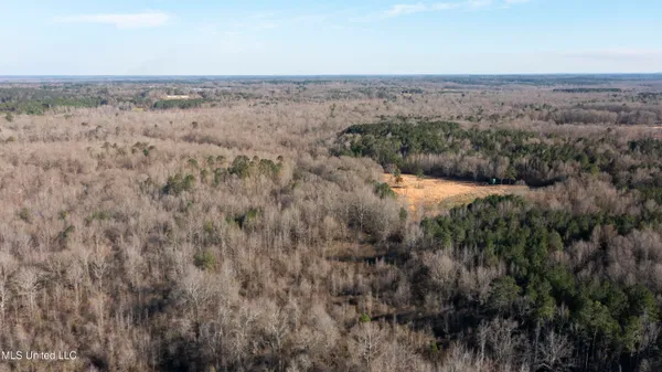 $250,000 | 12233 Highway 35, Forest, MS 39074