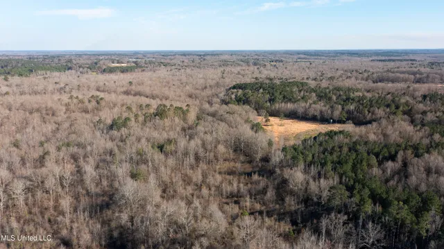 $300,000 | 12233 Highway 35, Forest, MS 39074