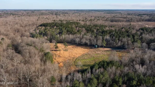 $250,000 | 12233 Highway 35, Forest, MS 39074