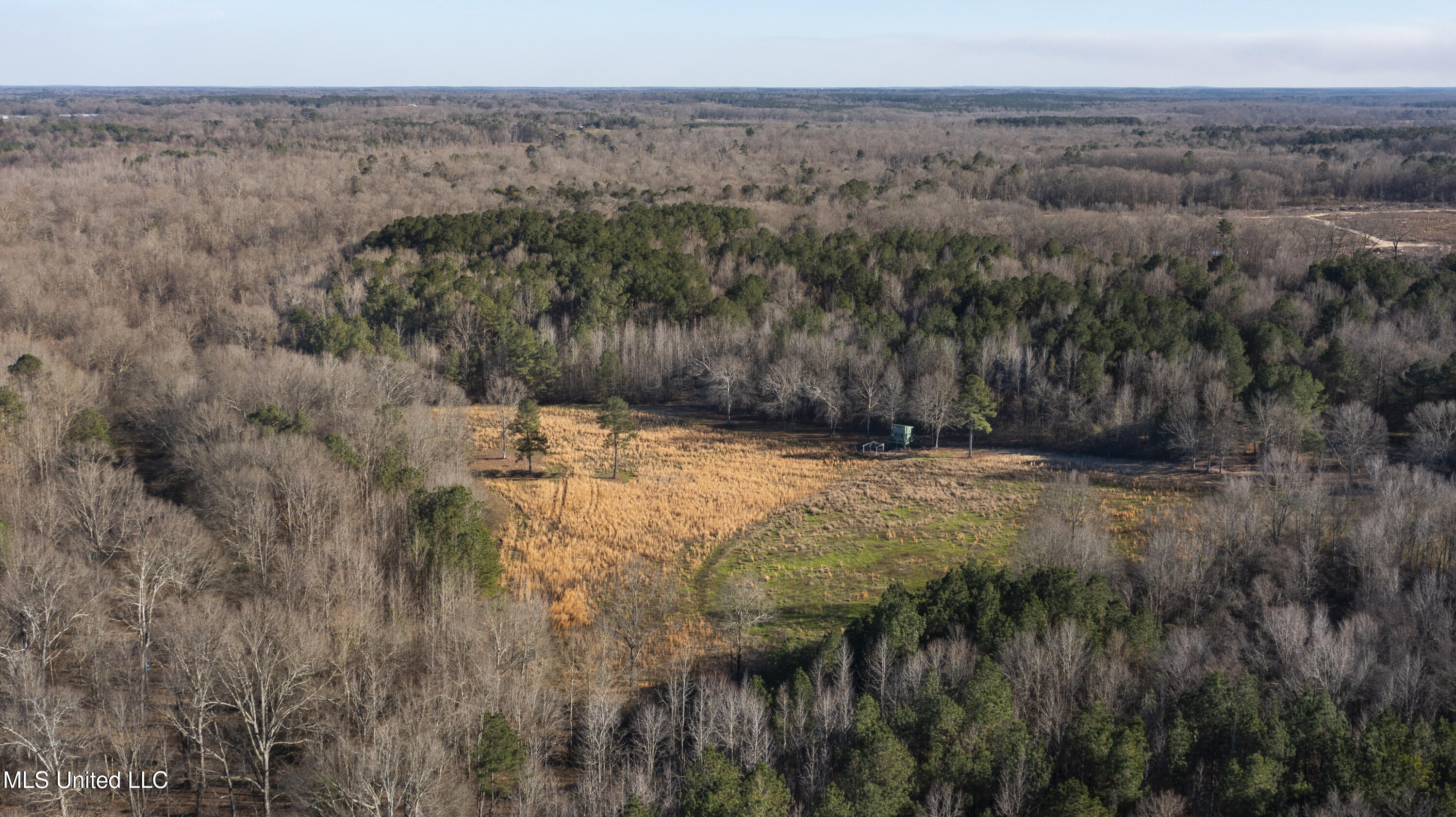 12233 Highway 35 Forest, MS 39074 - Photo 14 of 20 12233 Hwy 35 N-11