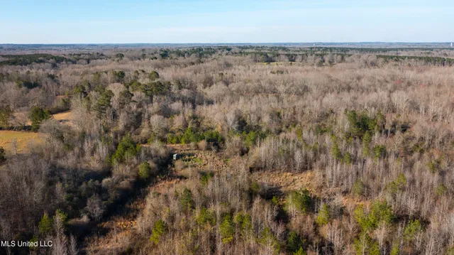 $300,000 | 12233 Highway 35, Forest, MS 39074
