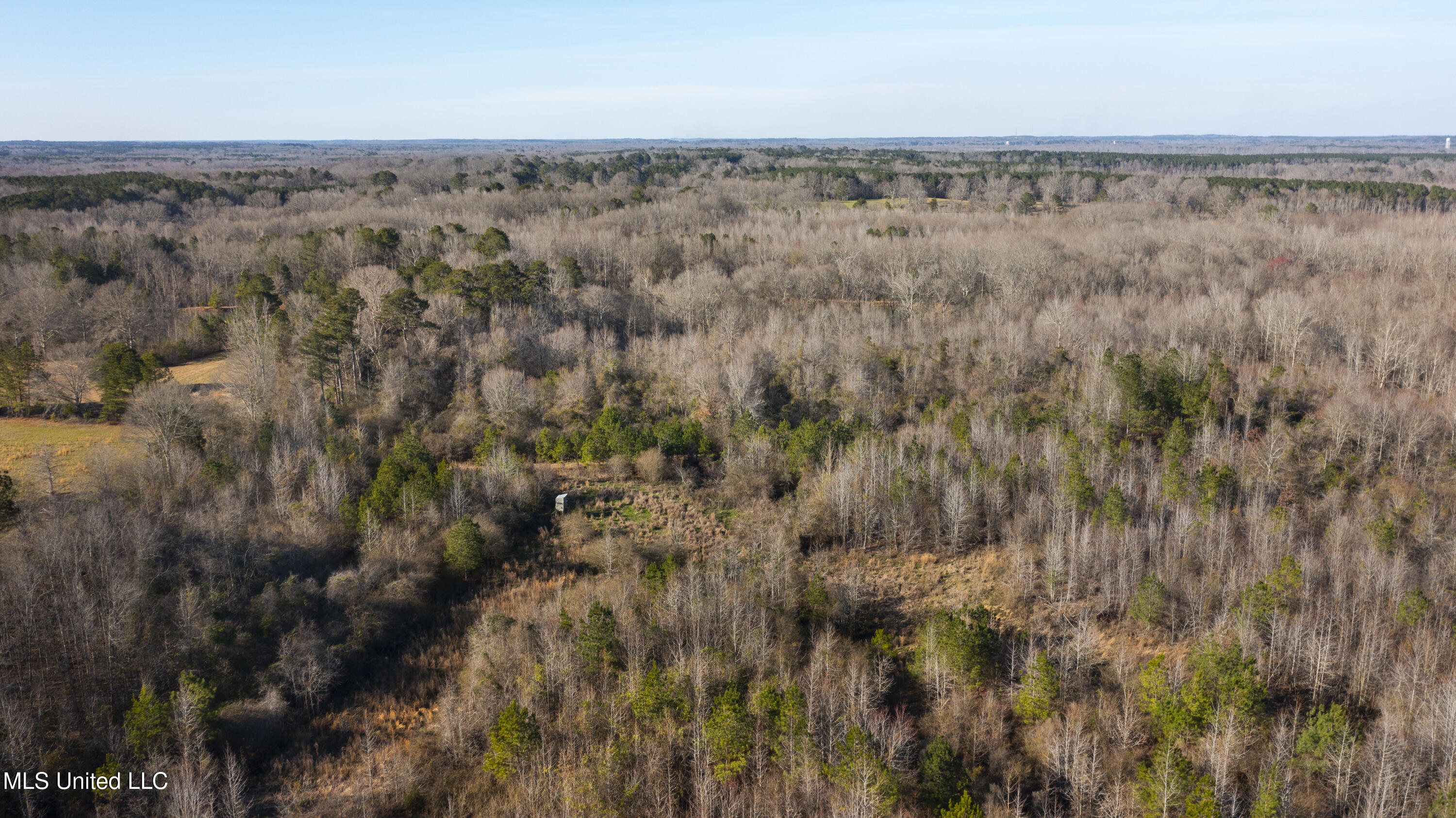 12233 Highway 35 Forest, MS 39074 - Photo 15 of 20 12233 Hwy 35 N-12
