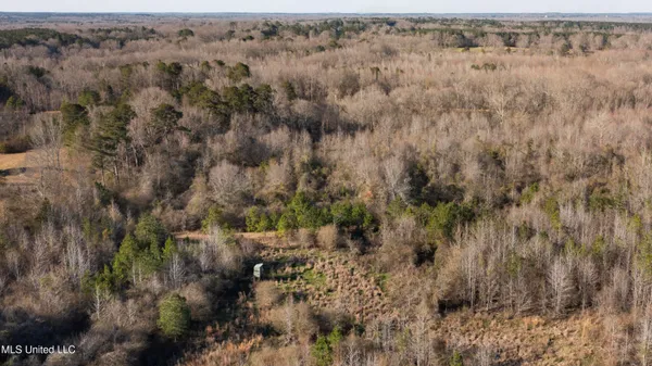 $250,000 | 12233 Highway 35, Forest, MS 39074