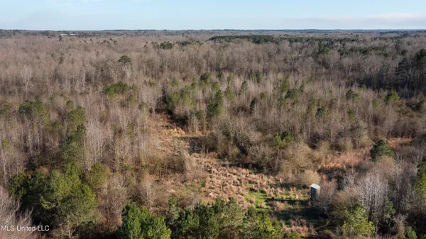 $250,000 | 12233 Highway 35, Forest, MS 39074