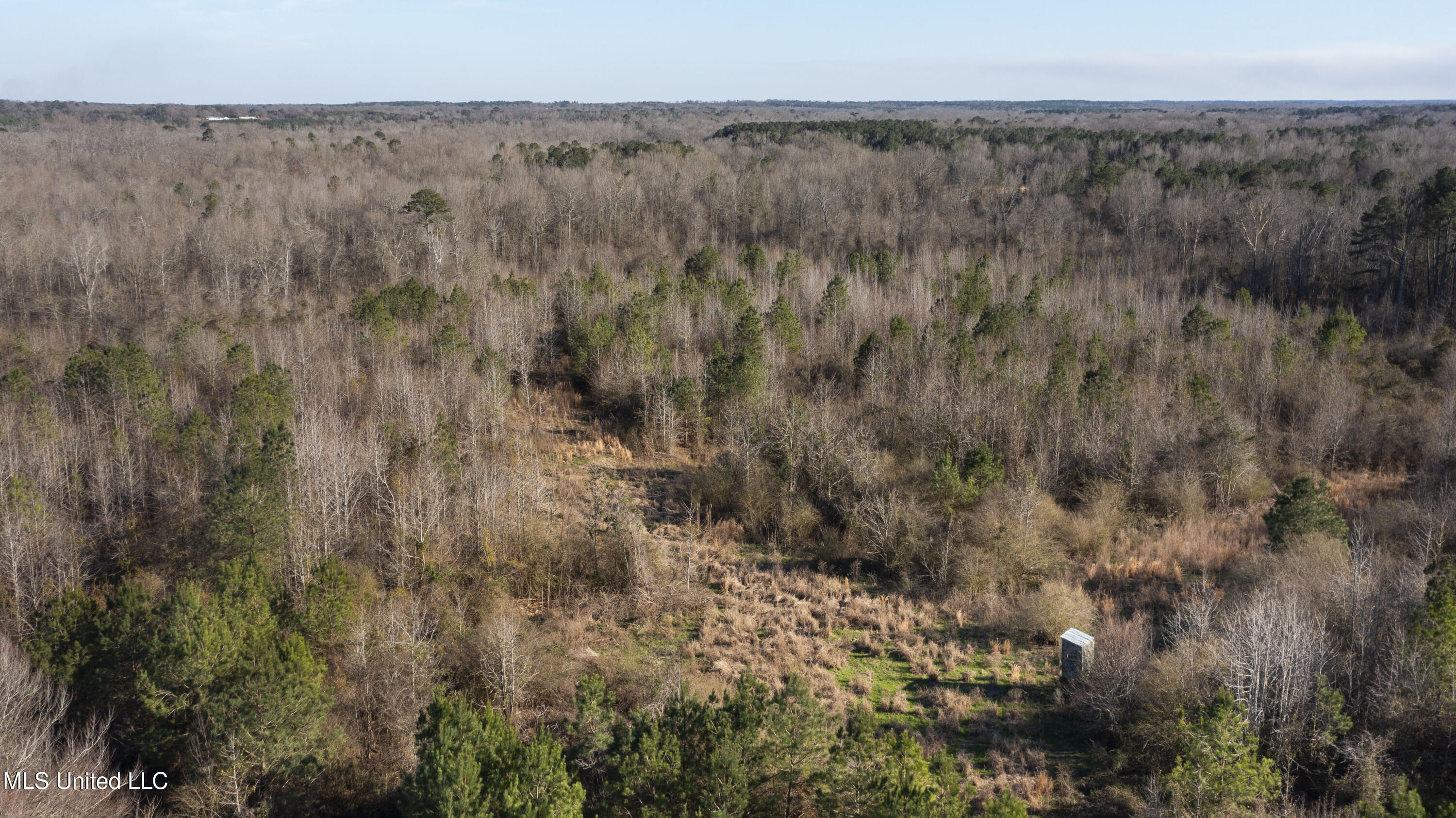 12233 Highway 35 Forest, MS 39074 - Photo 17 of 20 12233 Hwy 35 N-14