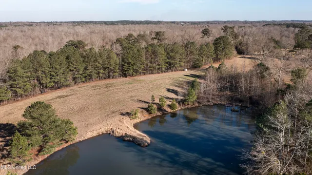 $300,000 | 12233 Highway 35, Forest, MS 39074