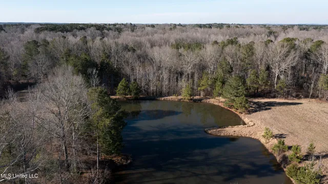 $300,000 | 12233 Highway 35, Forest, MS 39074