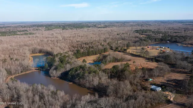 $300,000 | 12233 Highway 35, Forest, MS 39074