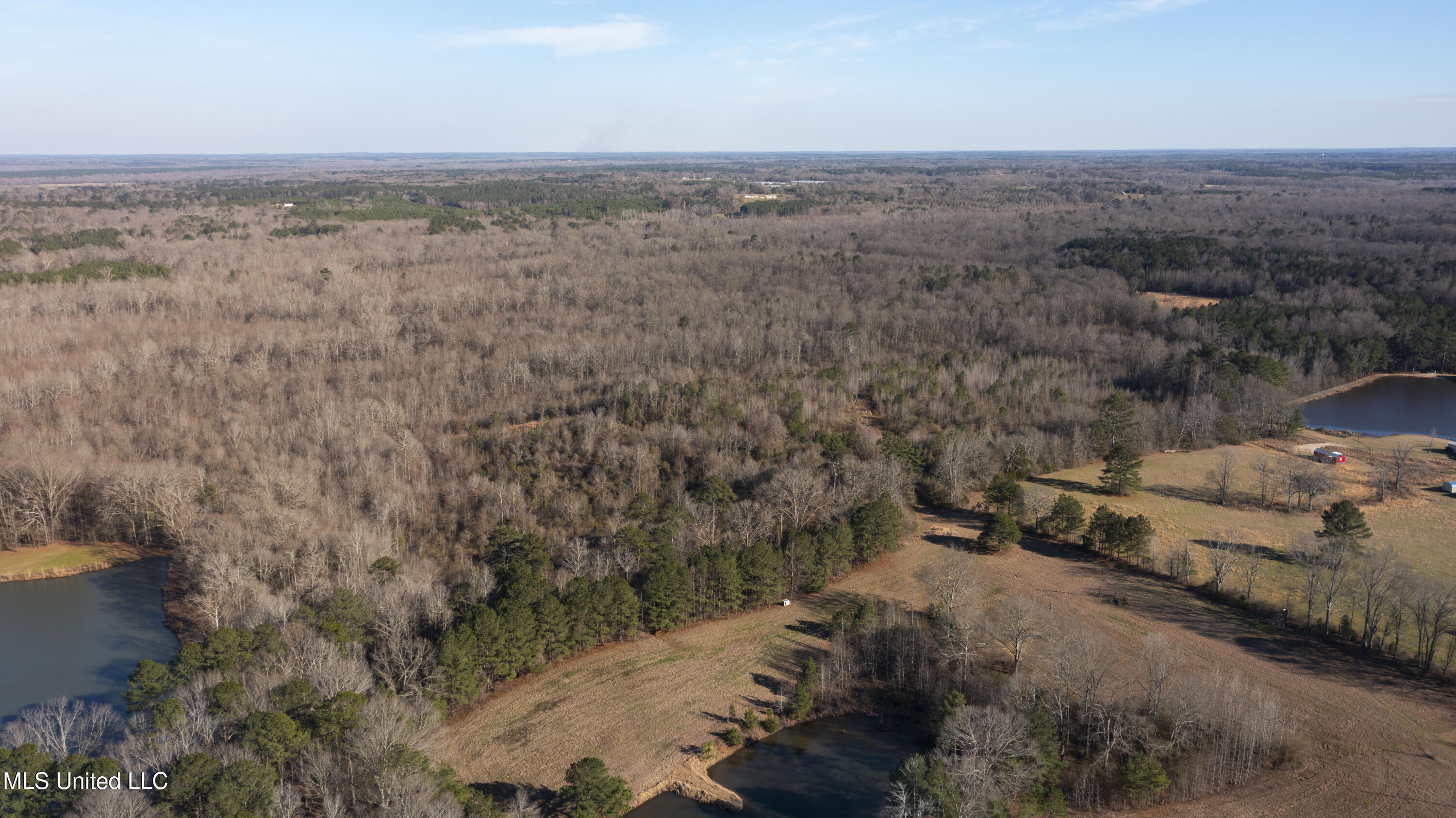 12233 Highway 35 Forest, MS 39074 - Photo 7 of 20 12233 Hwy 35 N-4