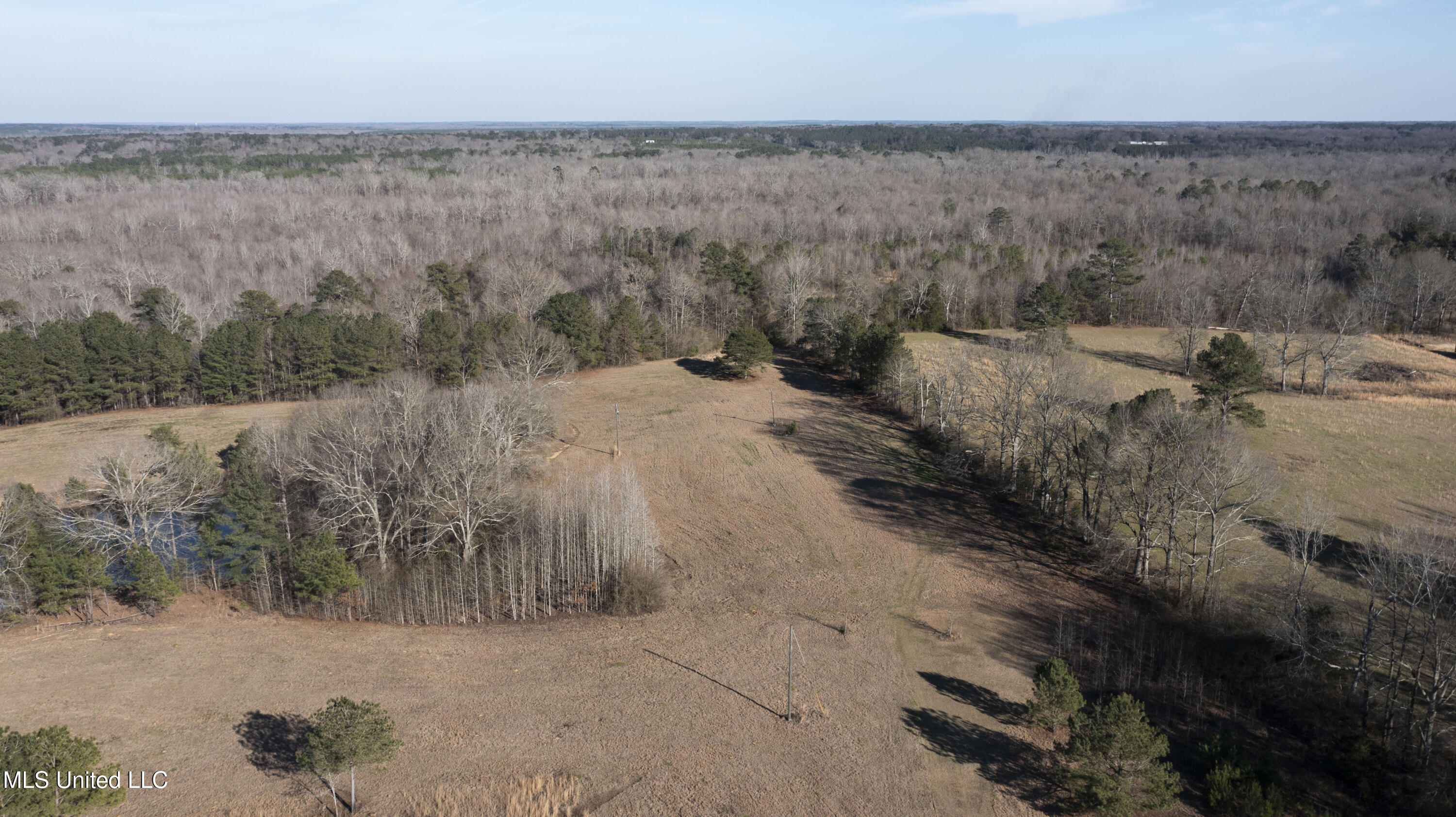12233 Highway 35 Forest, MS 39074 - Photo 9 of 20 12233 Hwy 35 N-6