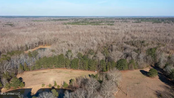 $250,000 | 12233 Highway 35, Forest, MS 39074