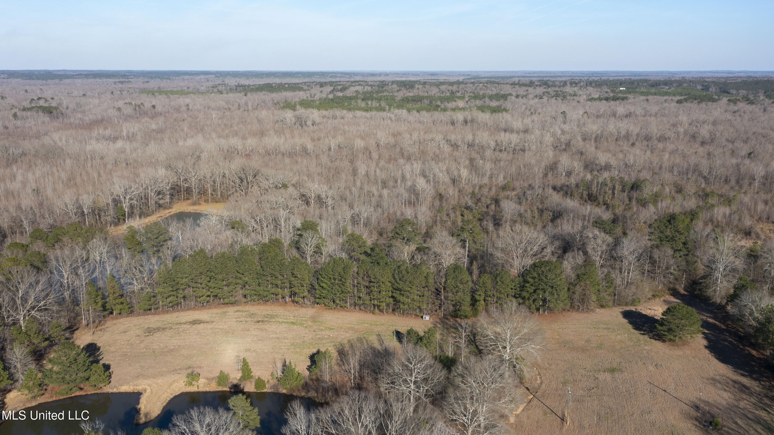 12233 Highway 35 Forest, MS 39074 - Photo 10 of 20 12233 Hwy 35 N-7