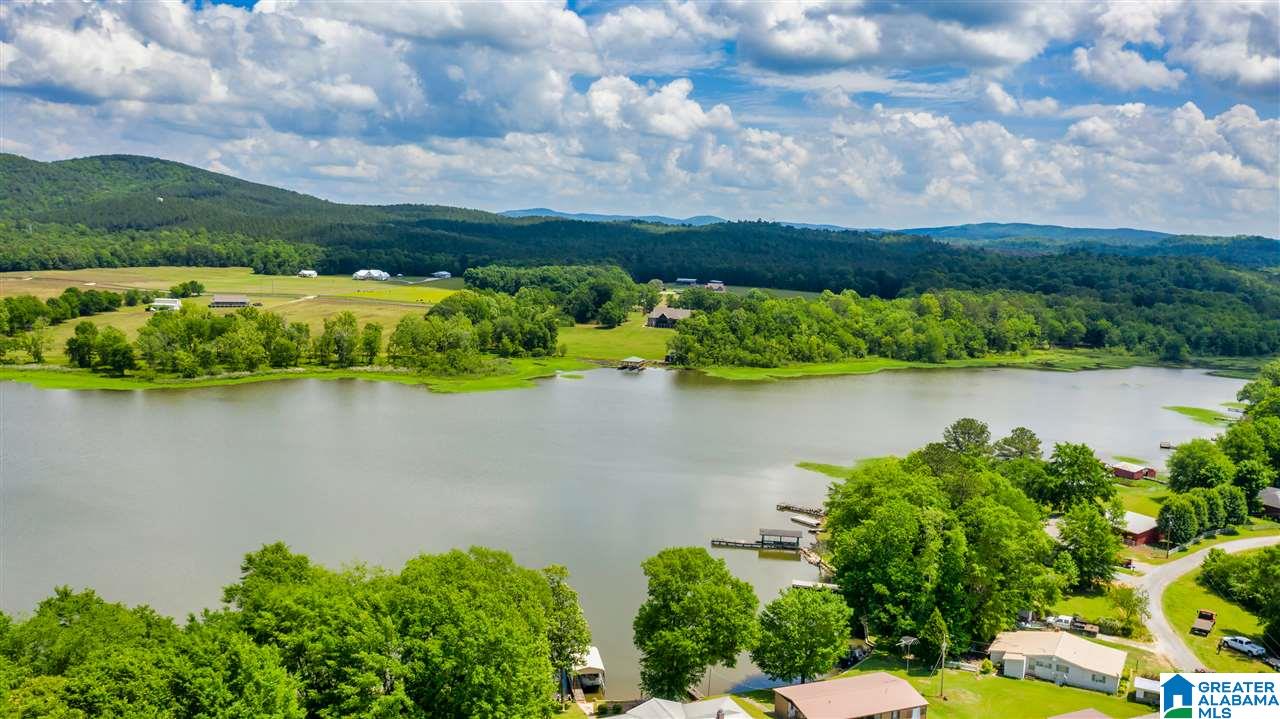 4371 McGowans Ferry Road Childersburg, AL 35044 - Photo 46 of 47