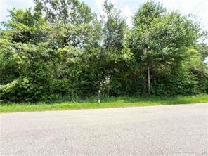 0 Tantela Ranch Road Covington, LA 70435 - Photo 3 of 4