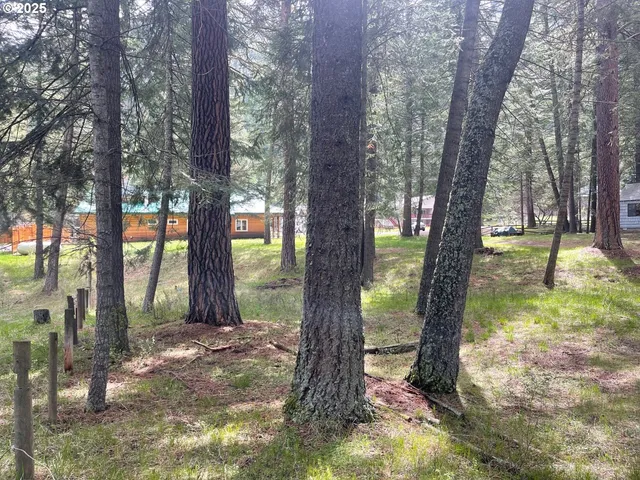 $299,000 | 0 Wallowa Lake Highway, Joseph, OR 97846