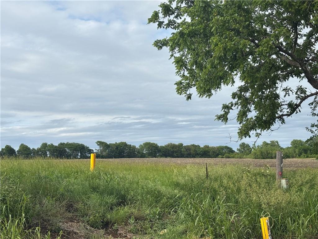 169 Highway Spring Hill Spring Hill, KS 66083 - Photo 3 of 4