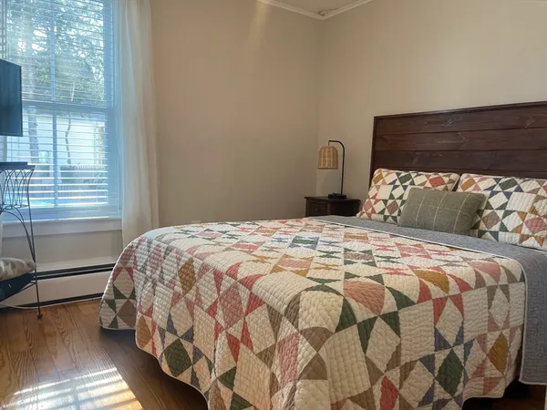a room with furniture and a potted plant