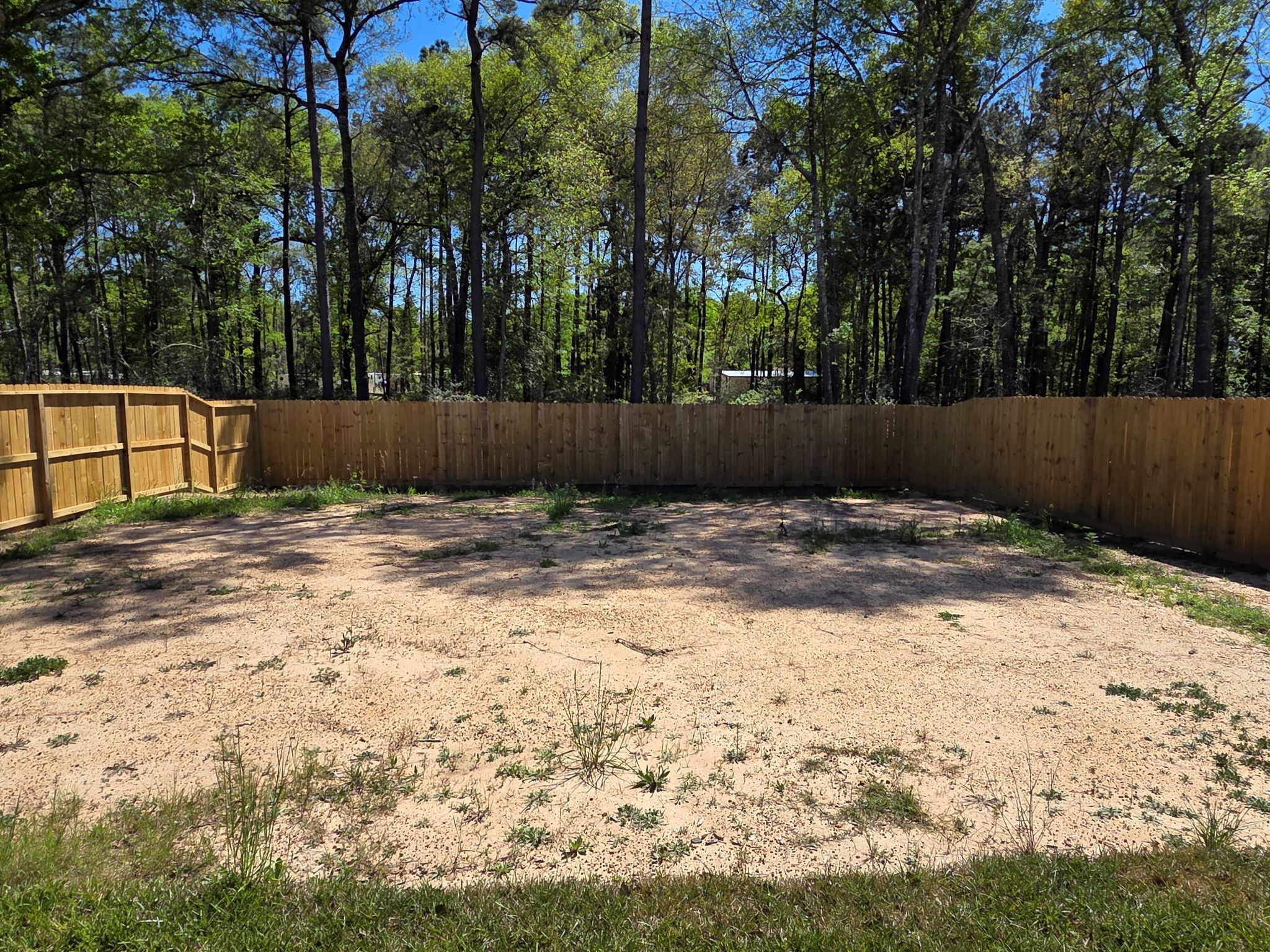 16276 Jeet Street Conroe, TX 77306 - Photo 27 of 27