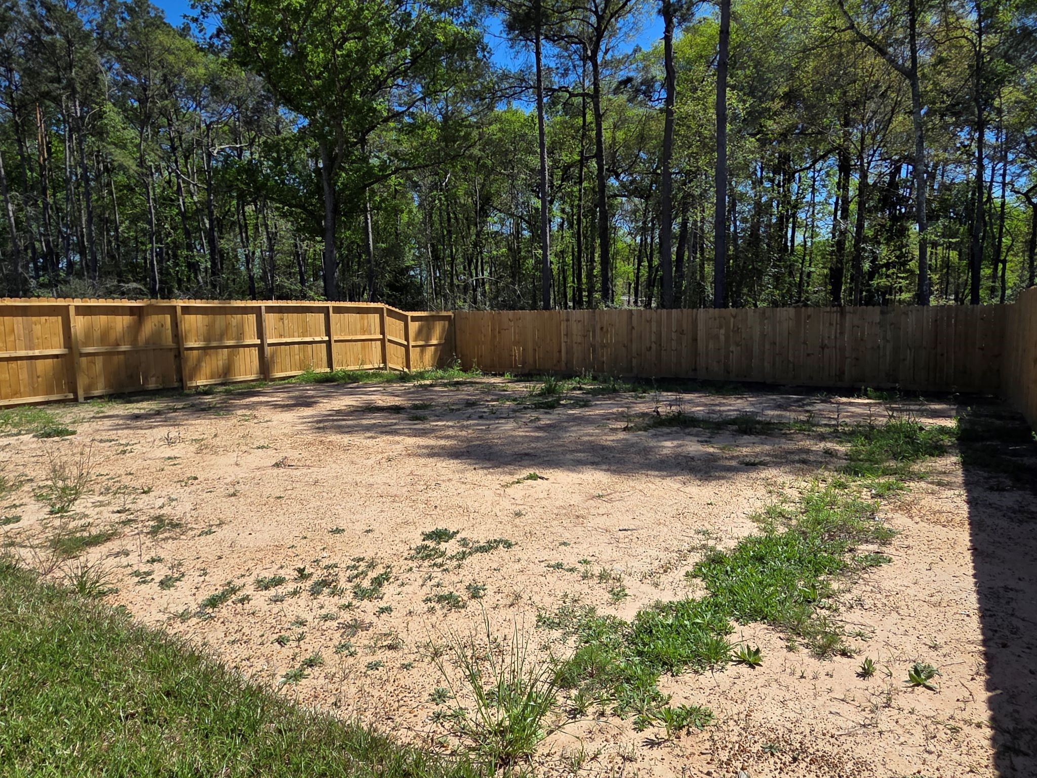 16276 Jeet Street Conroe, TX 77306 - Photo 5 of 27