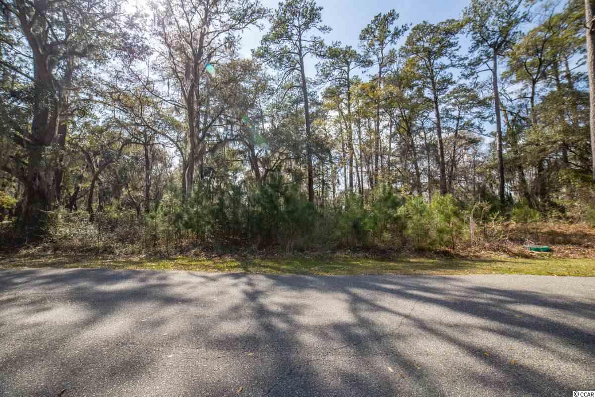 1 Tuckers Road Pawleys Island, SC 29585 - Photo 3 of 31 Gallery Image 3