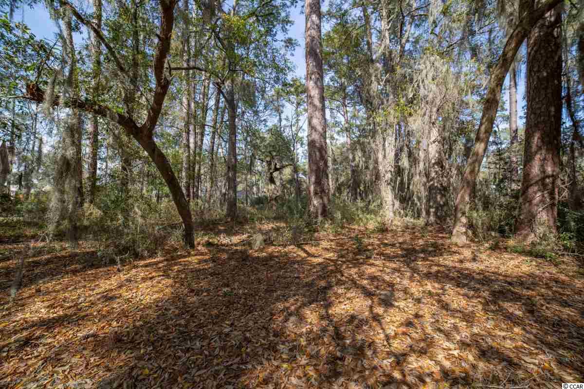 1 Tuckers Road Pawleys Island, SC 29585 - Photo 4 of 31 Gallery Image 4
