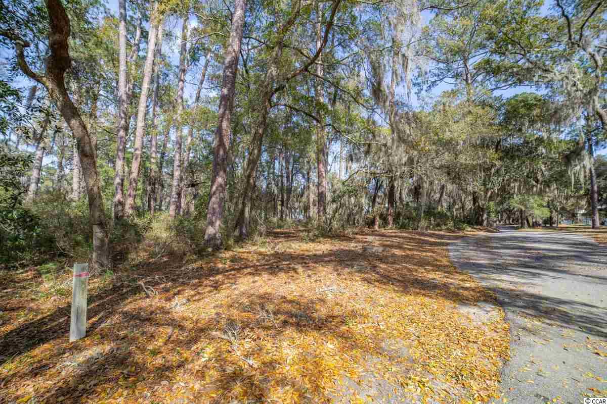 1 Tuckers Road Pawleys Island, SC 29585 - Photo 5 of 31 Gallery Image 5