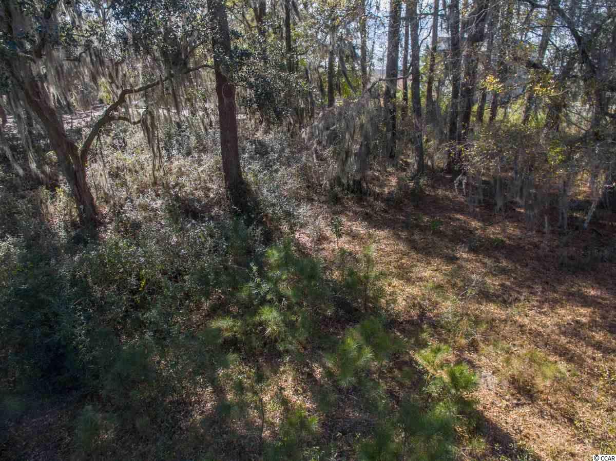 1 Tuckers Road Pawleys Island, SC 29585 - Photo 8 of 31 Gallery Image 8