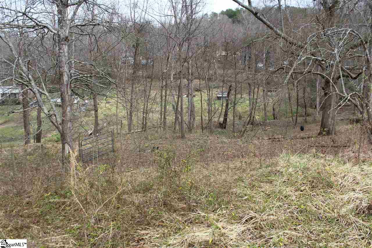 130 Spring Park Road Marietta, SC 29661 - Photo 3 of 3
