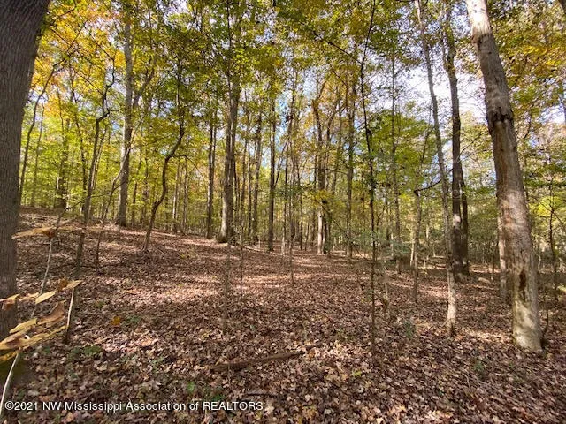 $75,000 | 16 Sandy Ridge Road, Byhalia, MS 38611