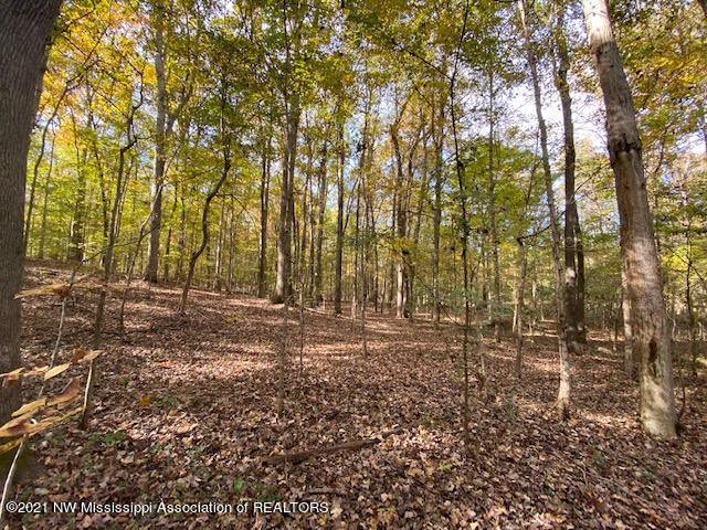 16 Sandy Ridge Road Byhalia, MS 38611 - Photo 12 of 13 unnamed