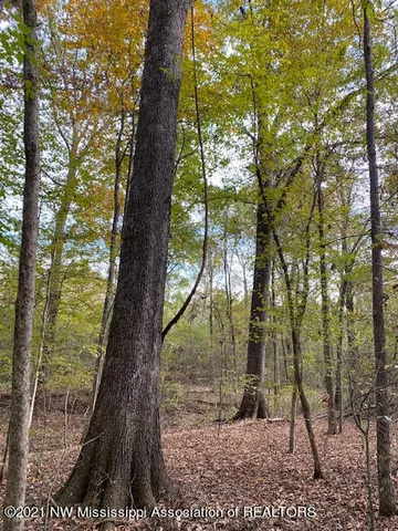 $75,000 | 16 Sandy Ridge Road, Byhalia, MS 38611