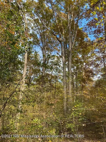 $75,000 | 16 Sandy Ridge Road, Byhalia, MS 38611