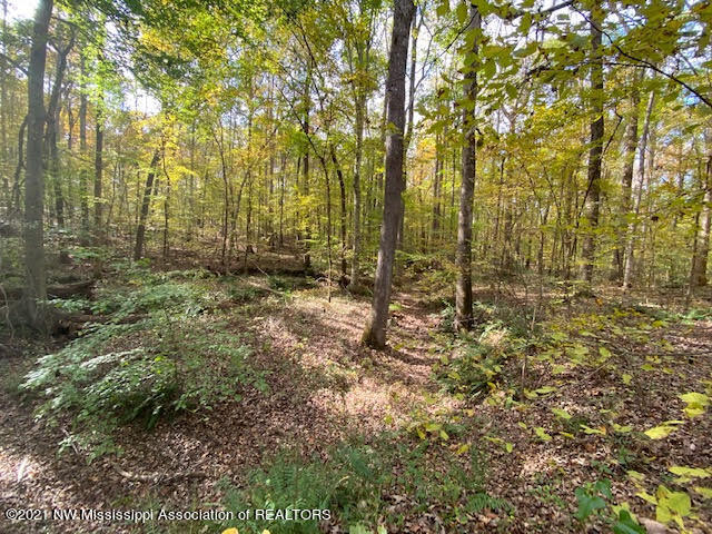 16 Sandy Ridge Road Byhalia, MS 38611 - Photo 5 of 13 unnamed (4)