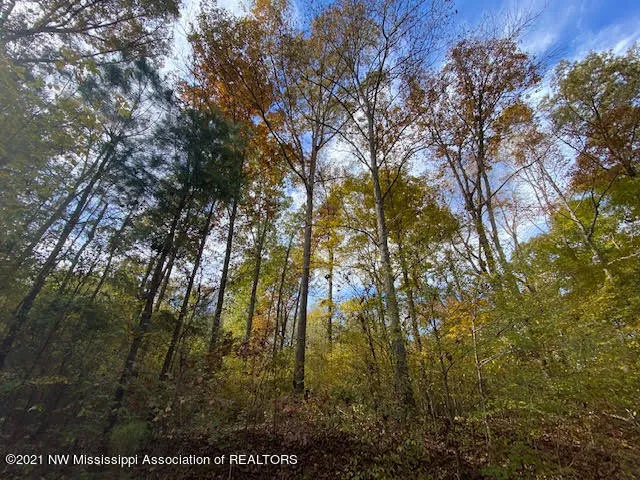 $75,000 | 16 Sandy Ridge Road, Byhalia, MS 38611