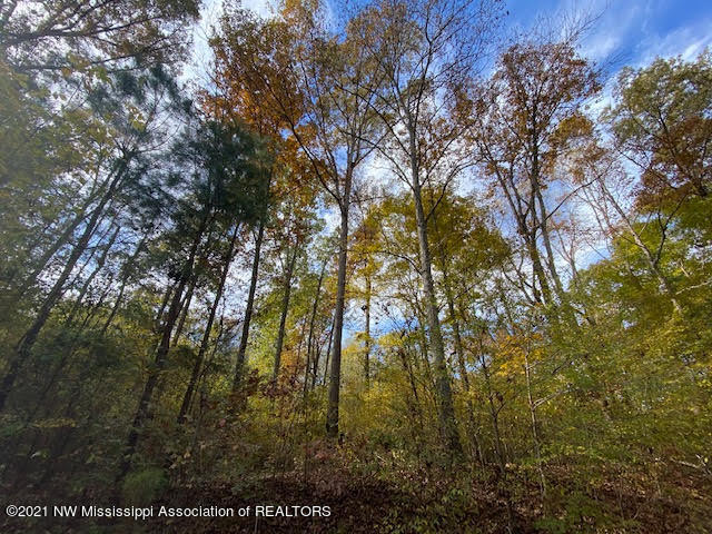 16 Sandy Ridge Road Byhalia, MS 38611 - Photo 7 of 13 unnamed (9)